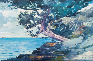 BERMUDA by Winslow Homer